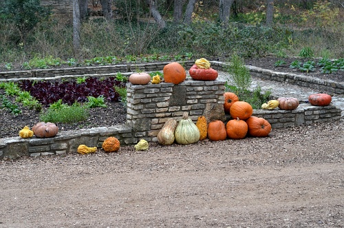 Pumpkins and Gourds  Pumpkins and Gourds